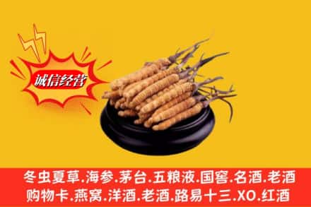 齐齐哈尔泰来求购回收虫草多少钱每克